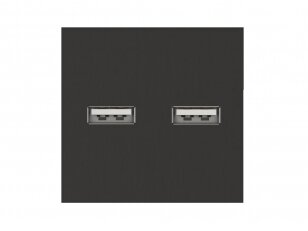 Dvigubas USB lizdas (juodos spalvos, su įkrovimu)