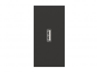 USB lizdas (juodos spalvos, be įkrovimo)
